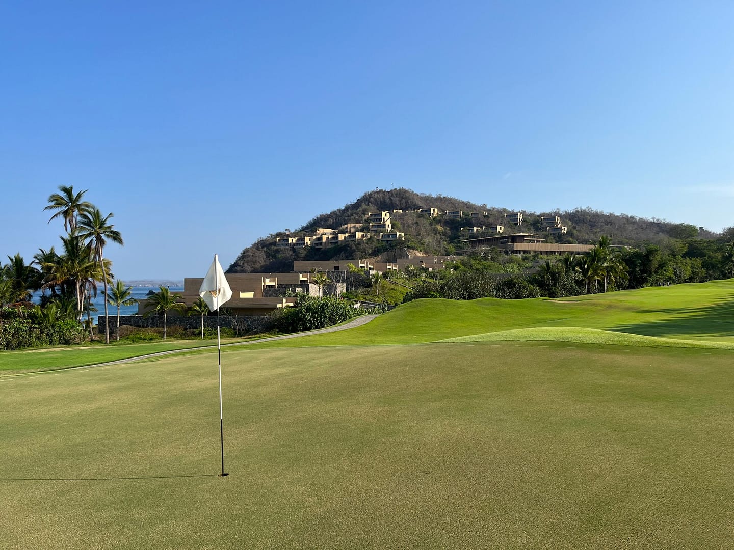 yVCUigrytN7ShNa6Q62WqA